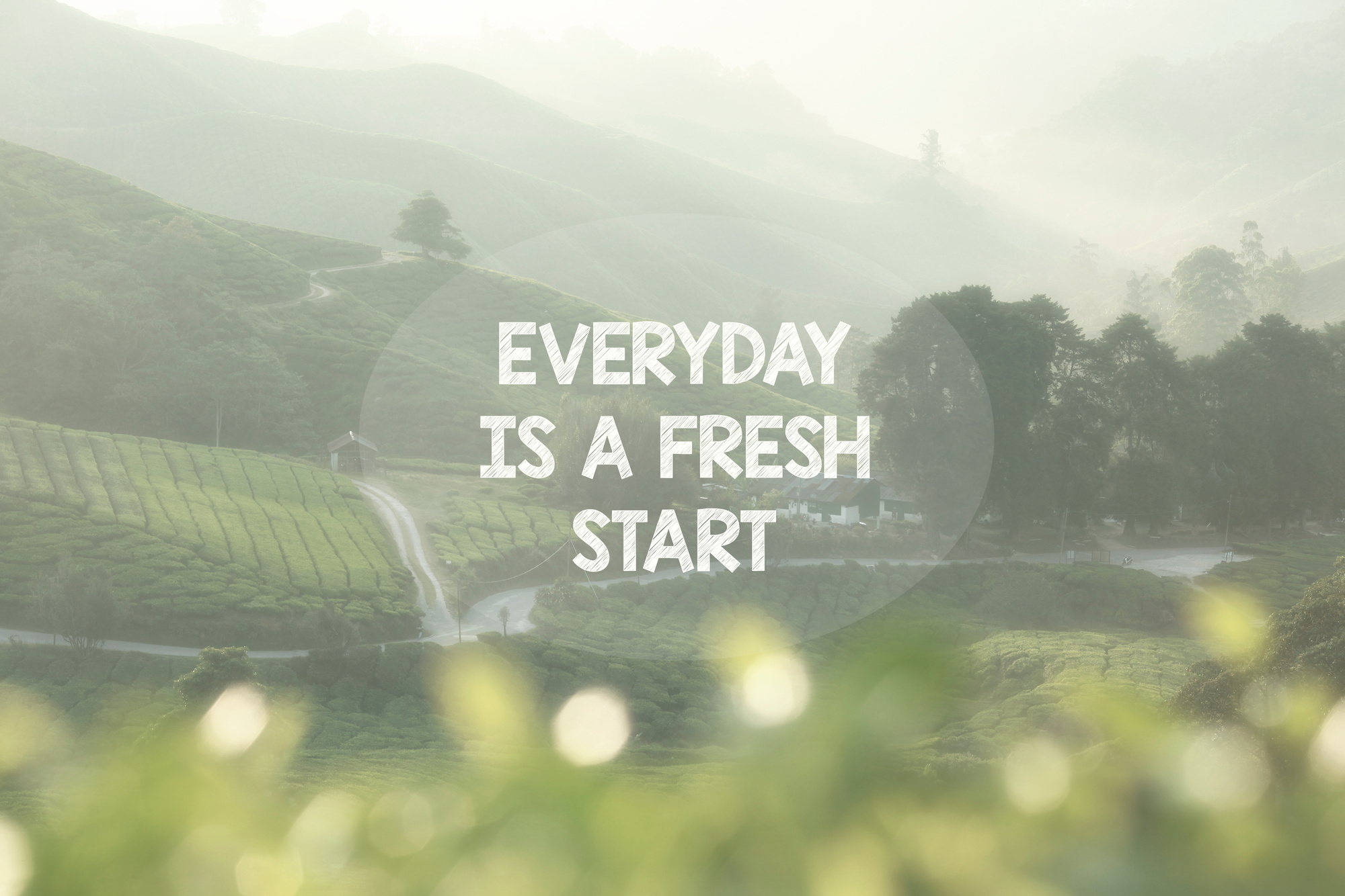 Life Inspirational Quotes - Everyday is a fresh start.